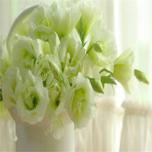 Load image into Gallery viewer, 200 pcs / bag,rare Eustoma flower, potted plant, Lisianthus flower plant, variety complete,the budding rate 95%, (Mixed colors)