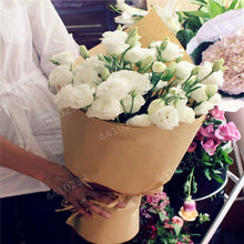 Load image into Gallery viewer, 200 pcs / bag,rare Eustoma flower, potted plant, Lisianthus flower plant, variety complete,the budding rate 95%, (Mixed colors)