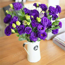 Load image into Gallery viewer, 200 pcs / bag,rare Eustoma flower, potted plant, Lisianthus flower plant, variety complete,the budding rate 95%, (Mixed colors)